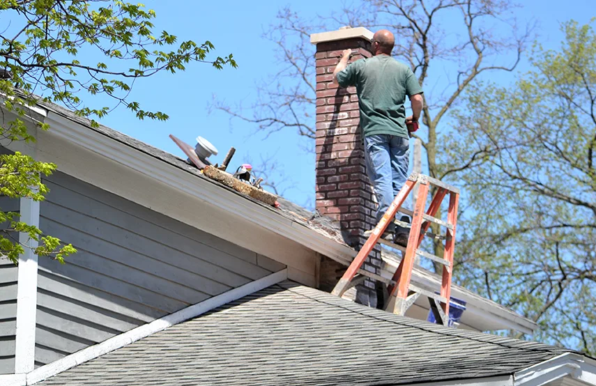 Chimney & Fireplace Inspections Services in Coral Terrace, FL
